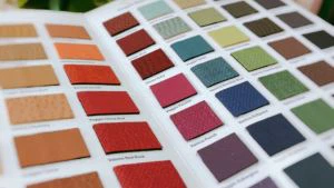 کارت سواچ لباس شنا